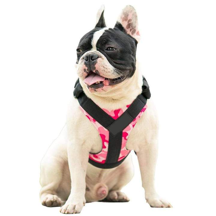 French Bulldog No Pull Collar Harness Leash Set (WS0223)