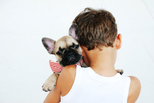 4 Reasons Why French Bulldogs Friendly with Kids