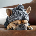 Load image into Gallery viewer, french bulldog knitted hat
