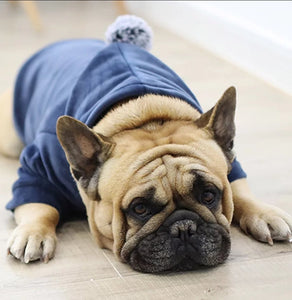 super snuggly frenchie hoodie