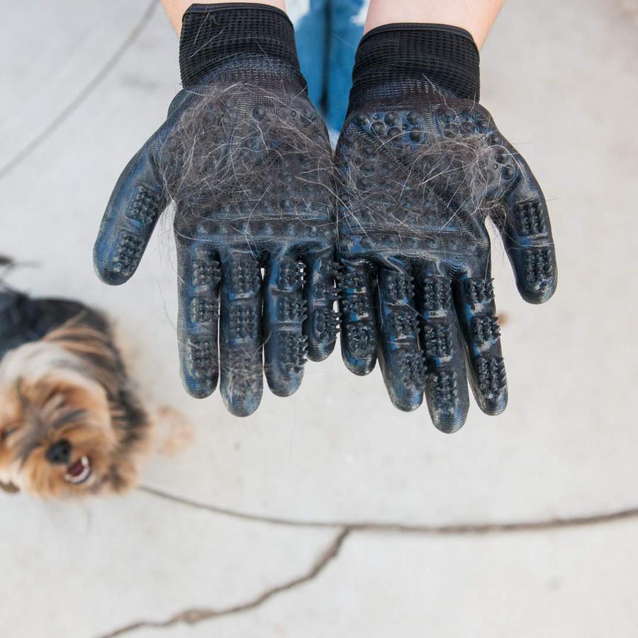 remy™  - dog grooming glove