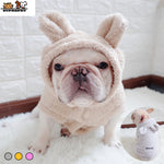Load image into Gallery viewer, rabbit hat frenchies clothes
