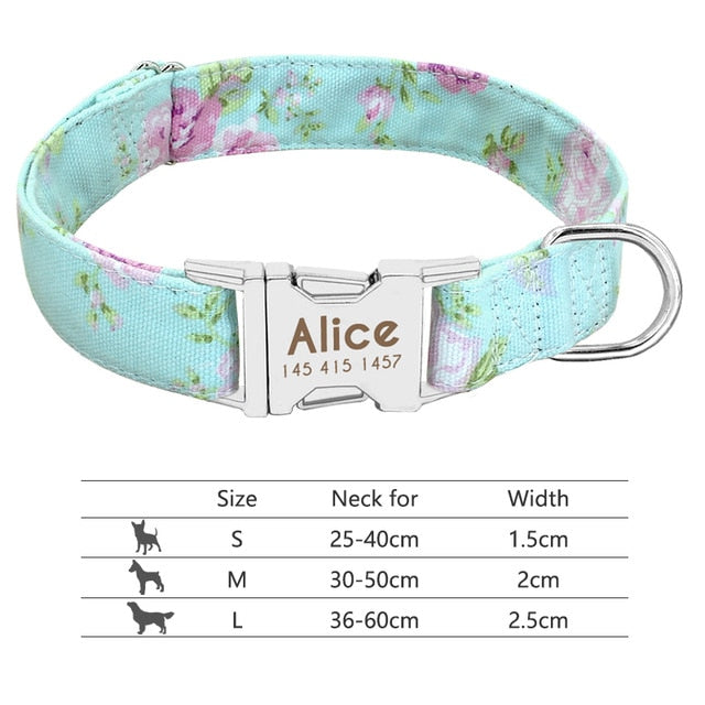 personalized frenchies collar