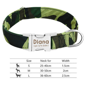 personalized frenchies collar