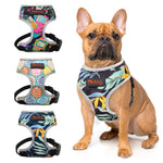 Load image into Gallery viewer, adjustable printed nylon harnesses vest pet walking leash
