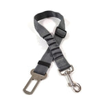 Load image into Gallery viewer, frenchies seat belt reflective elastic 2 / 50-75cm 2.5cm
