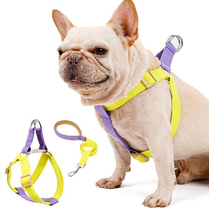french bulldog adjustable harness
