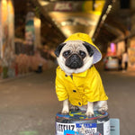 Load image into Gallery viewer, frenchies raincoat
