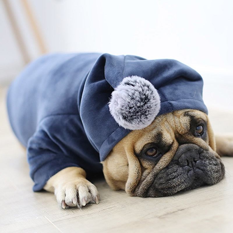 super snuggly frenchie hoodie