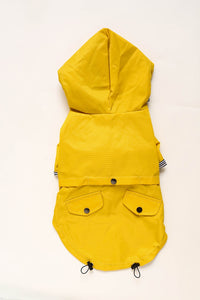 frenchies raincoat