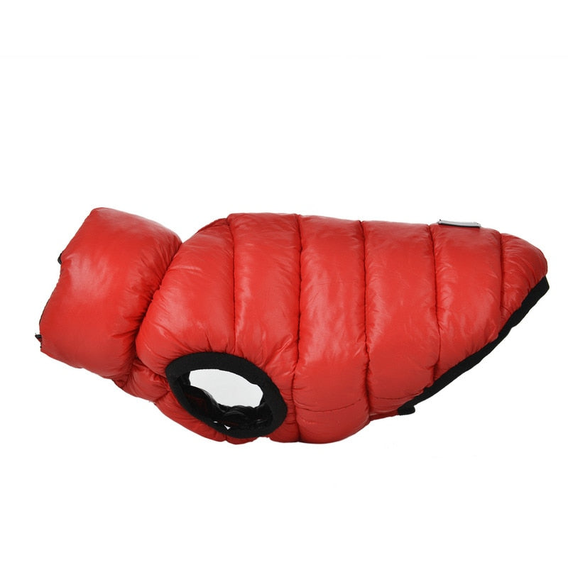 french bulldog waterproof reversible warm jacket