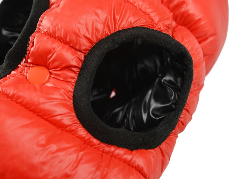 french bulldog waterproof reversible warm jacket