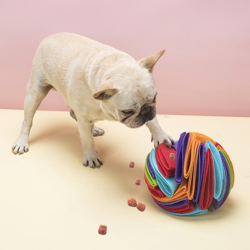 frenchies snuffle ball