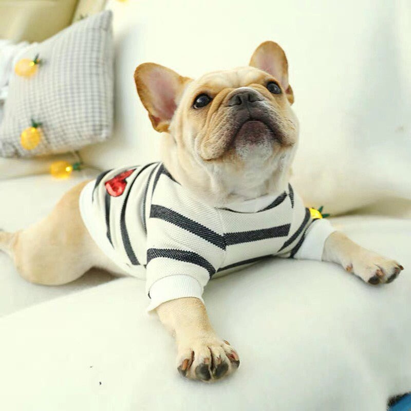 pullover warm striped round neck puppy sweater