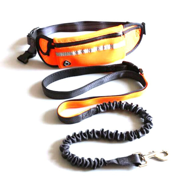 hands-free dog leash orange