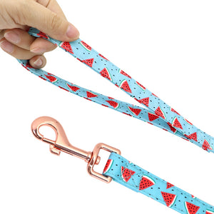 printed customzied nylon dog collar harness