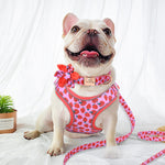 Load image into Gallery viewer, printed customzied nylon dog collar harness
