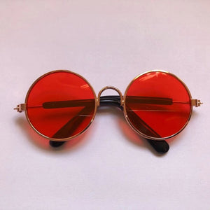 frenchies sunglasses