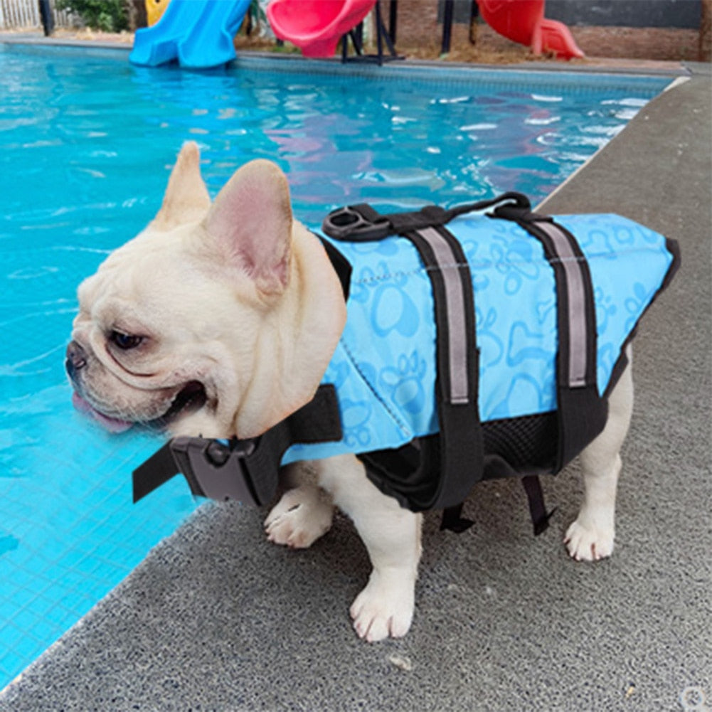 frenchies life jacket