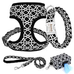 Load image into Gallery viewer, 4pcs nylon dog collar leash harness poop bag set
