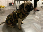 Load image into Gallery viewer, frenchies camouflage jacket
