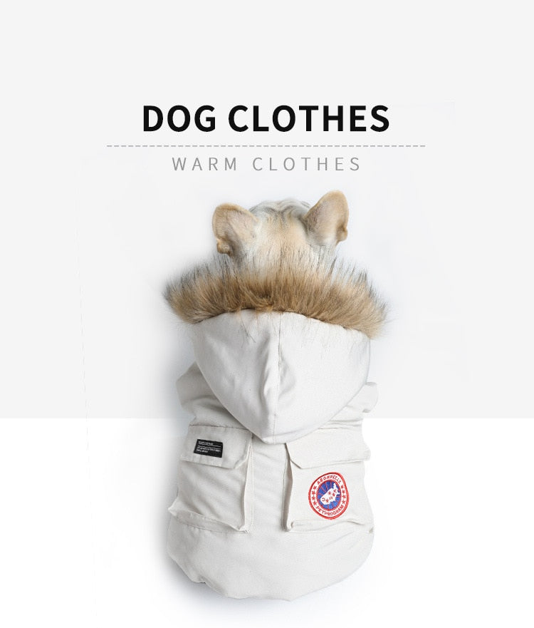 New Tide Brand Dog Sweater Winter Dog Clothes French Bulldog Clothes  Schnauzer Koji Small And Medium Pet Clothing Wholesale - Dog Coats &  Jackets - AliExpress