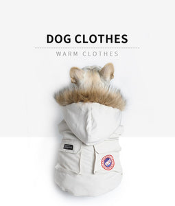 french bulldog windproof winter warm hoodie jacket