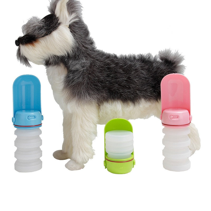 frenchies collapsible water bottle