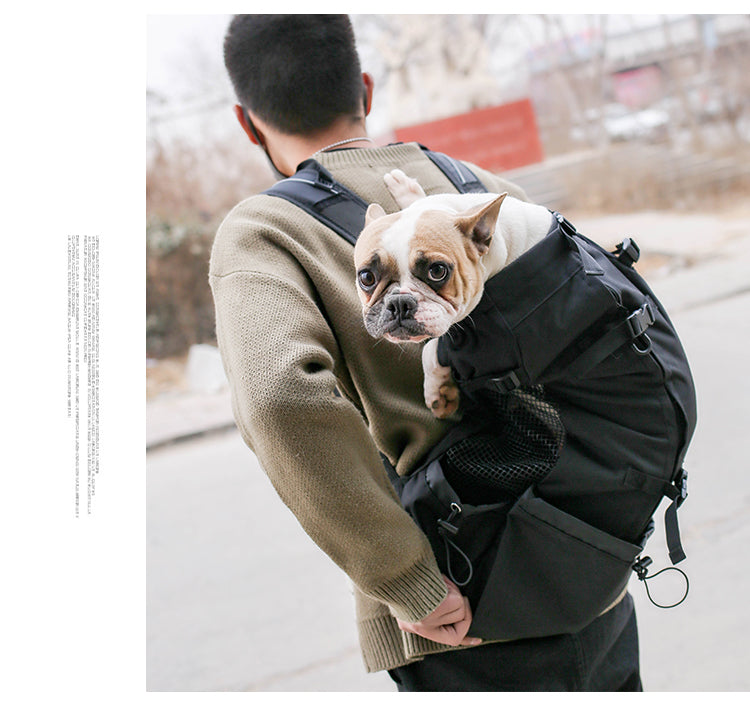 frenchies bulldog world™️ dog backpacks